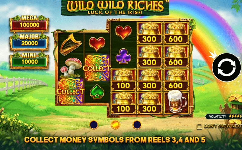 Wild Wild Riches